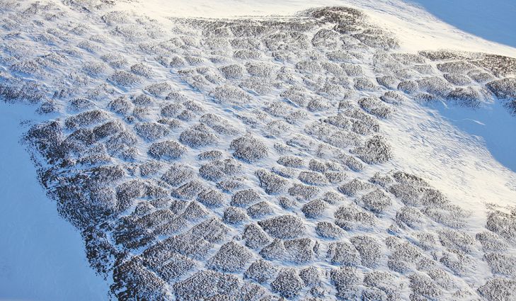 Arctic landscape